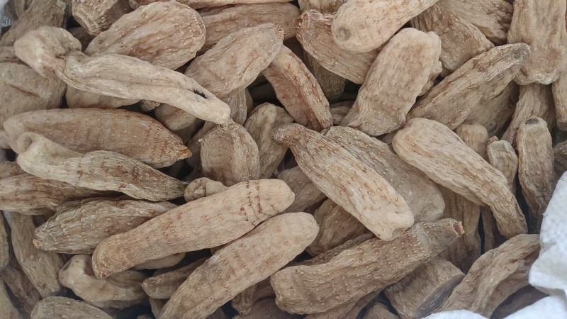 【天麻片】天麻个批发供应无硫天麻片物美价廉药食同源
