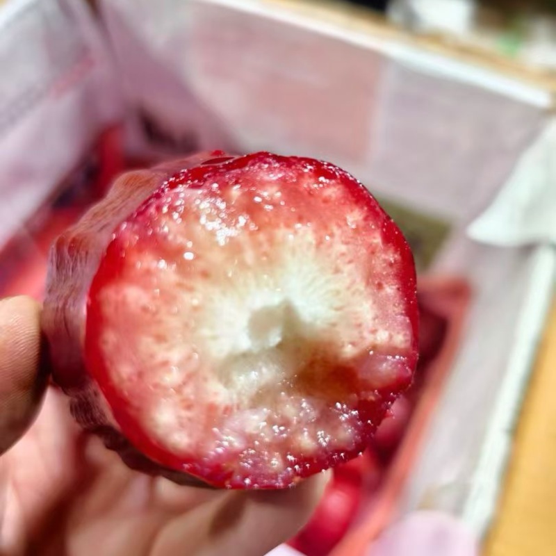 黑金钢莲雾