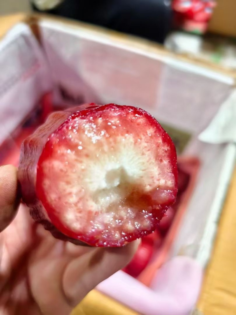 黑金钢莲雾