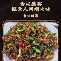 【精选】广西冻品活体白蟋蟀基地直发，对接全国电商团购