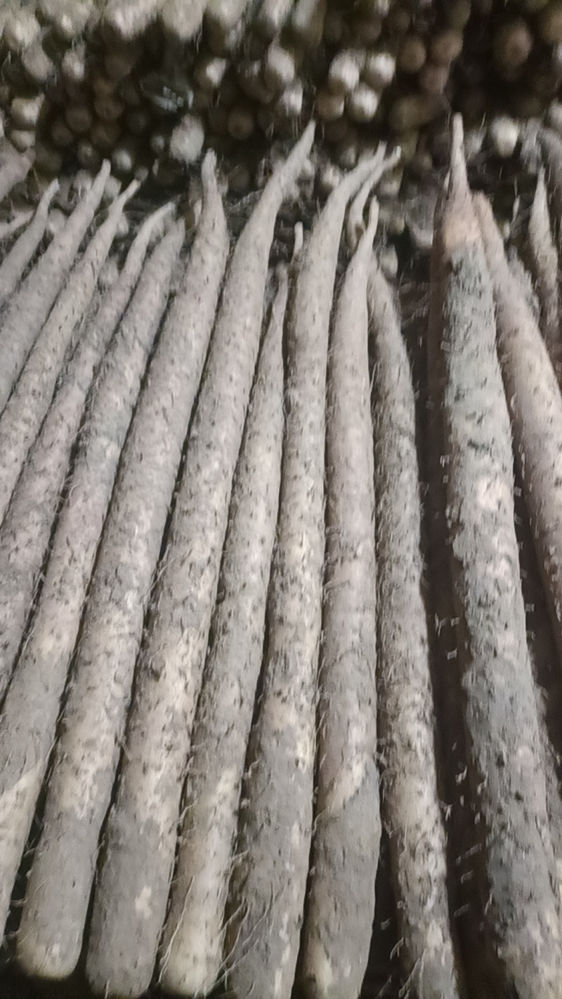麻山药，品种、规格齐全