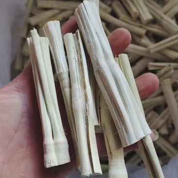 甘蔗干竹蔗干