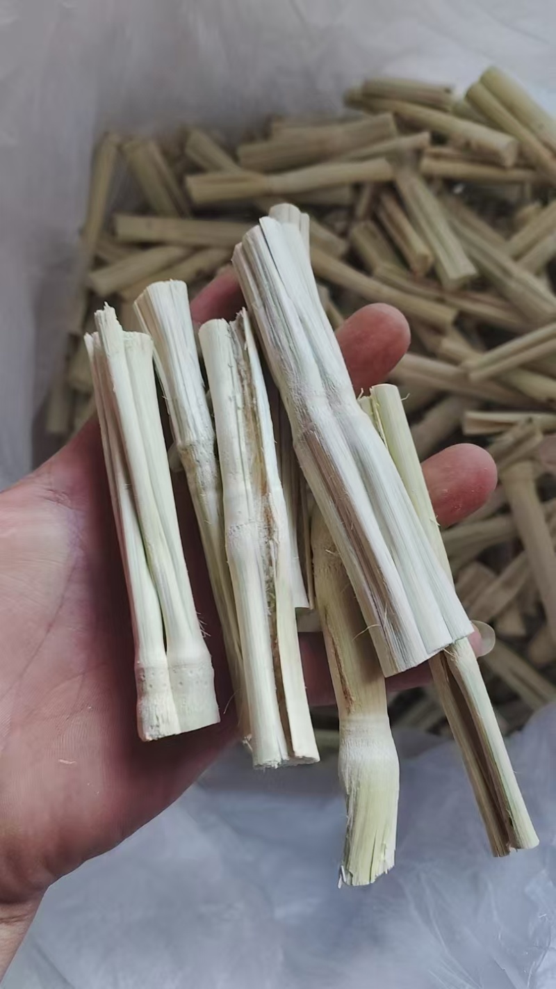 甘蔗干竹蔗干