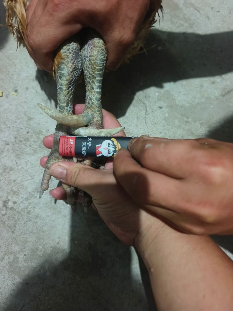 锋子沂蒙土特产