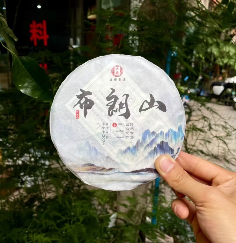2023年头春古树茶，后期压制成饼