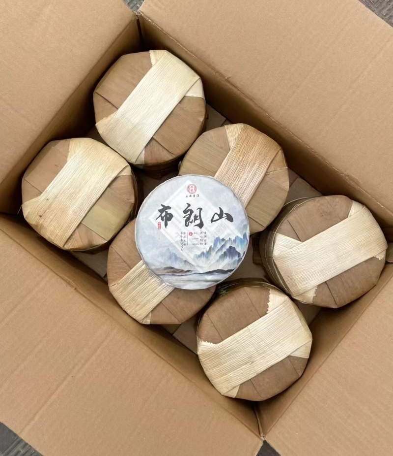 2023年头春古树茶，后期压制成饼
