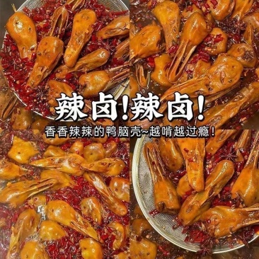 鸭头麻辣卤味电商一件代商超团购批发零售