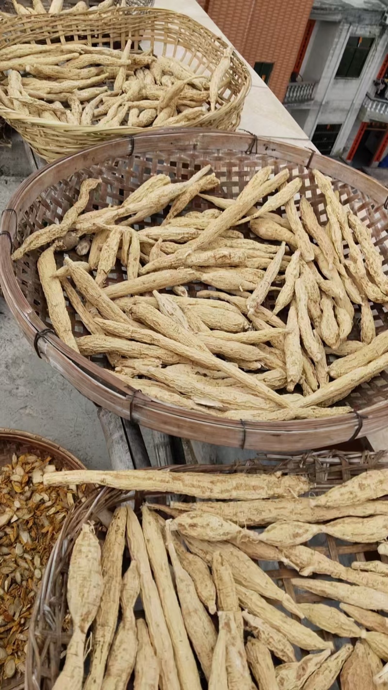 野生牛大力