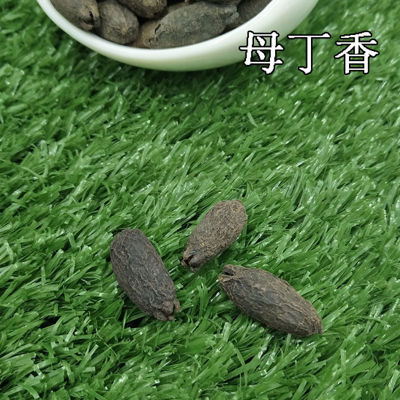 上等母丁香包邮免邮500克母丁香料母丁香粉鸡舌香雌