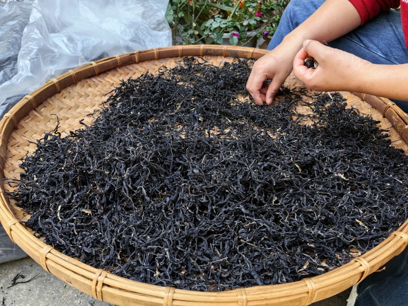 野生红茶