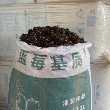 蓝莓基质