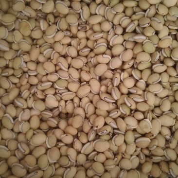 正品白扁豆扁豆炒炒扁豆纯干无硫物美价廉