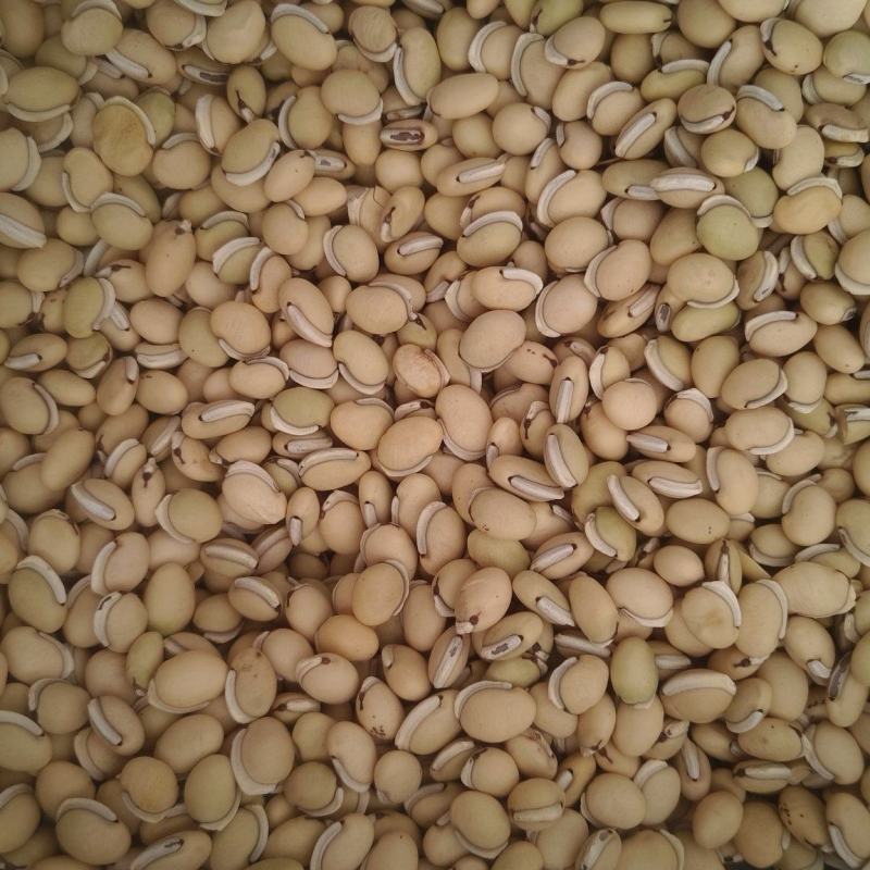 正品白扁豆扁豆炒炒扁豆纯干无硫物美价廉