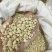 正品白扁豆扁豆炒炒扁豆纯干无硫物美价廉
