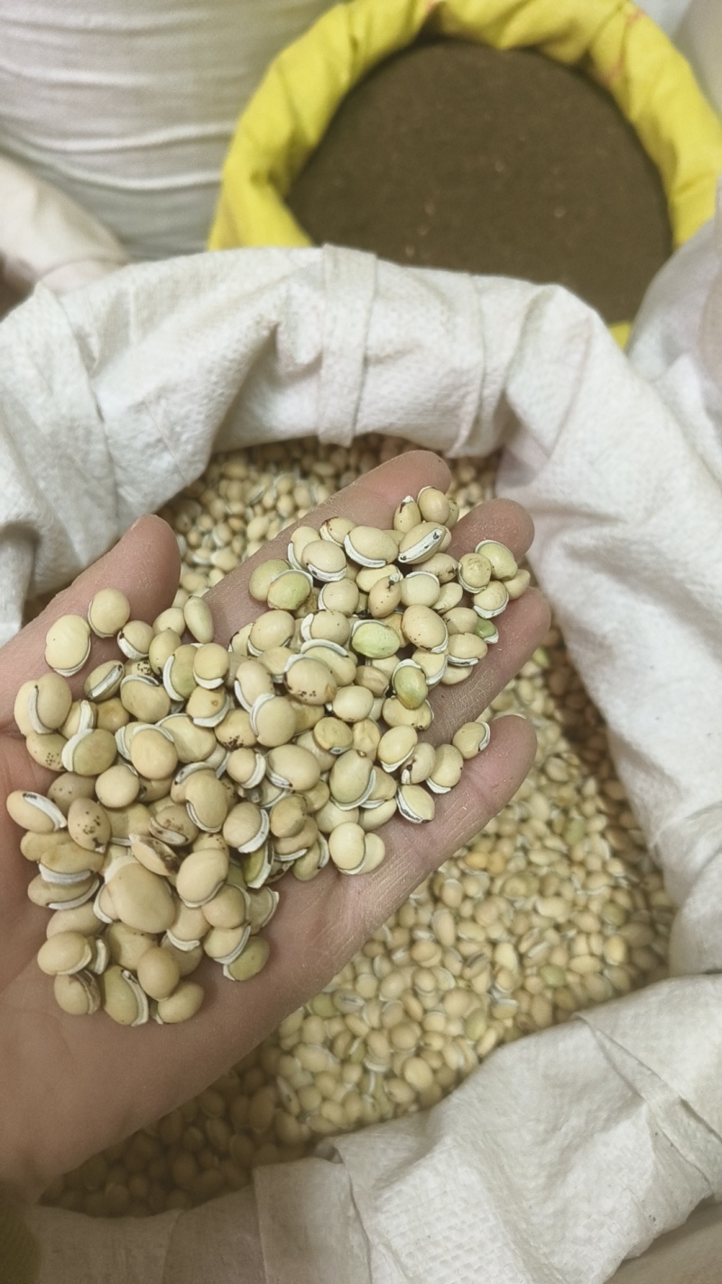 正品白扁豆扁豆炒炒扁豆纯干无硫物美价廉