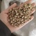 正品白扁豆扁豆炒炒扁豆纯干无硫物美价廉
