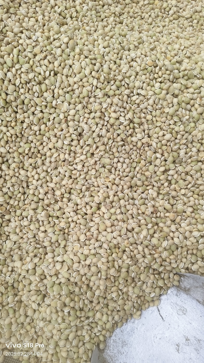 正品白扁豆扁豆炒炒扁豆纯干无硫物美价廉