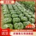 江西螺丝椒/薄皮椒现摘现发/年产量百万吨/批发代发