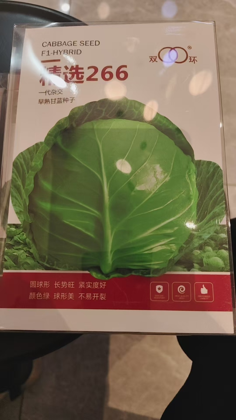 甘蓝种子华耐亚瑟王精选266明珠甘蓝华耐快船