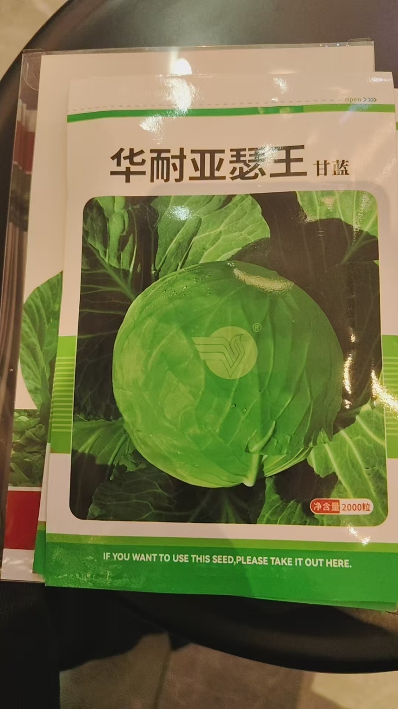 甘蓝种子华耐亚瑟王精选266明珠甘蓝华耐快船