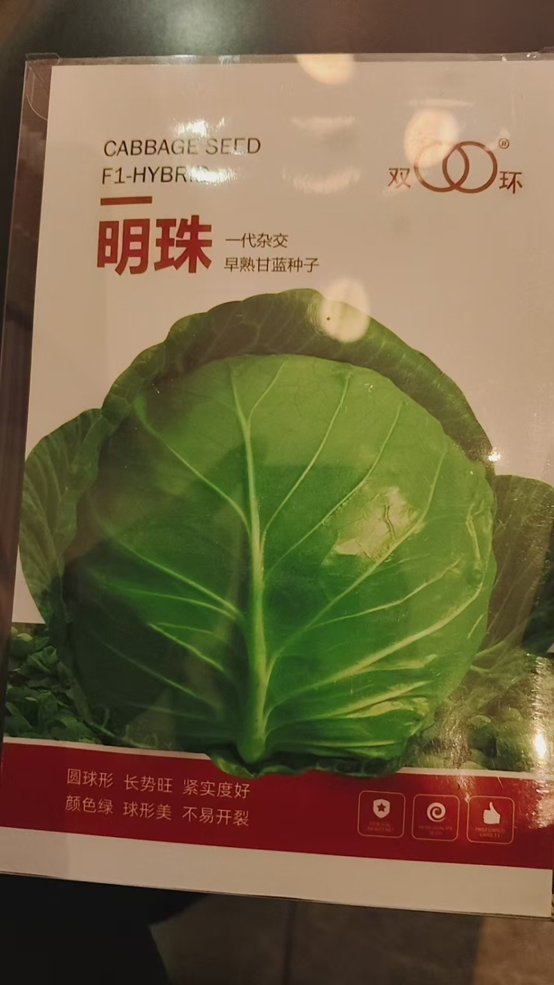 甘蓝种子华耐亚瑟王精选266明珠甘蓝华耐快船