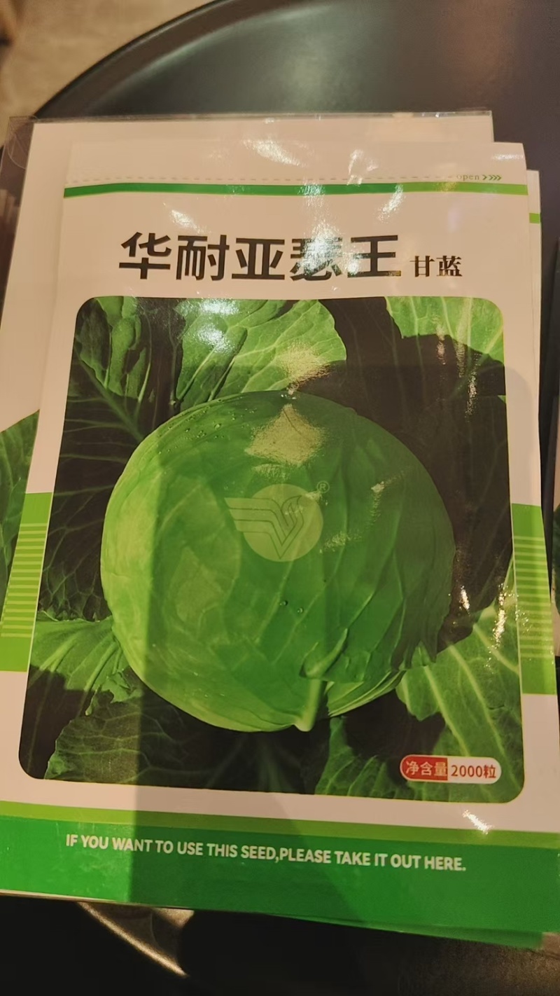 甘蓝种子华耐亚瑟王精选266明珠甘蓝华耐快船