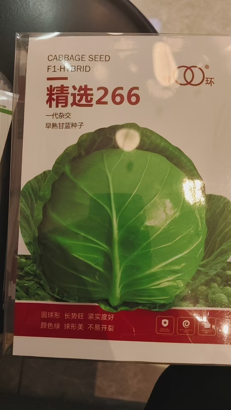 甘蓝种子华耐亚瑟王精选266明珠甘蓝华耐快船