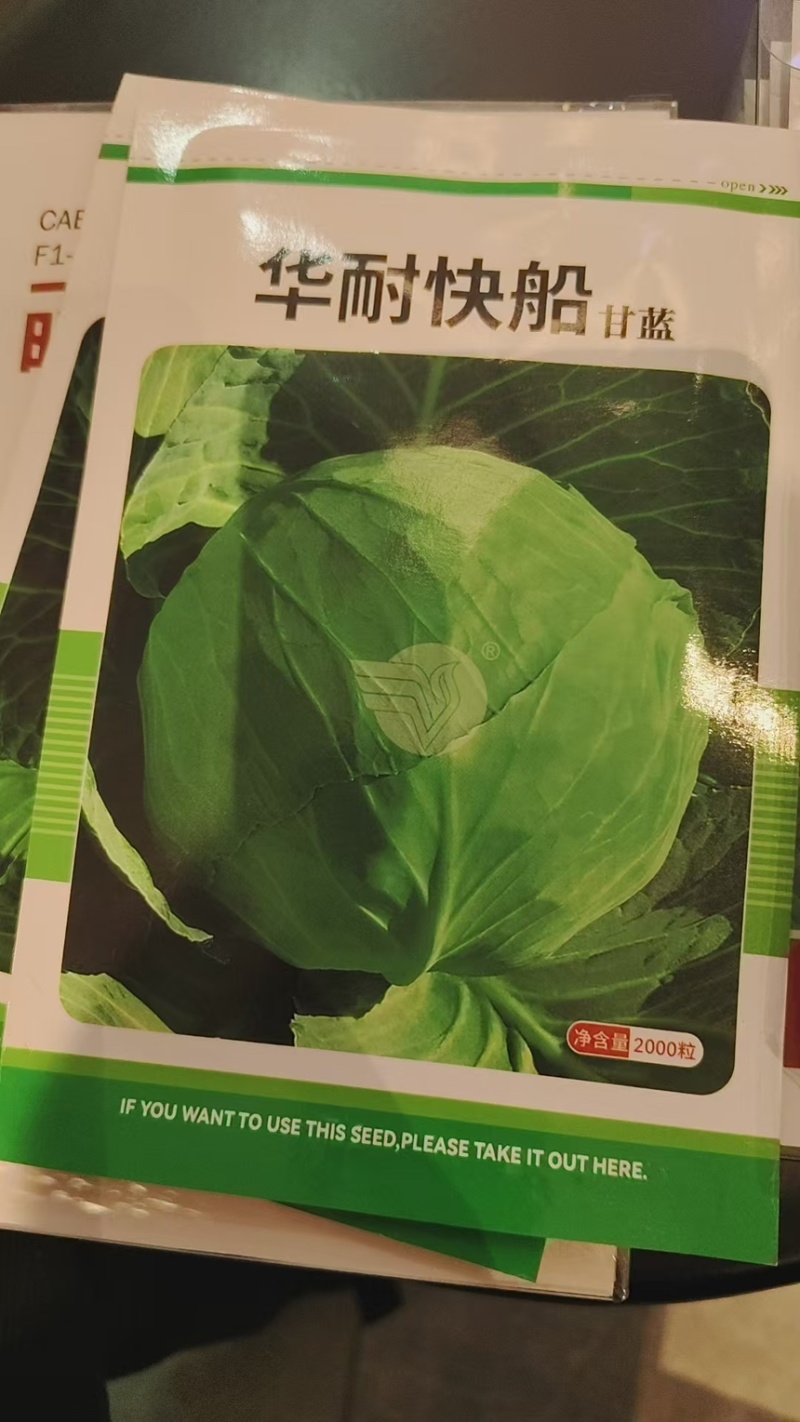 甘蓝种子华耐亚瑟王精选266明珠甘蓝华耐快船