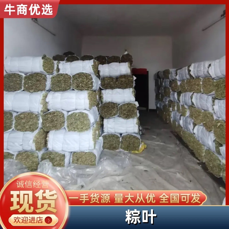 江西干粽子叶/野生干粽叶大号新叶/家用商用粽叶批发
