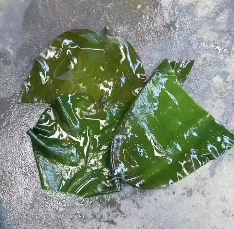 干海带p