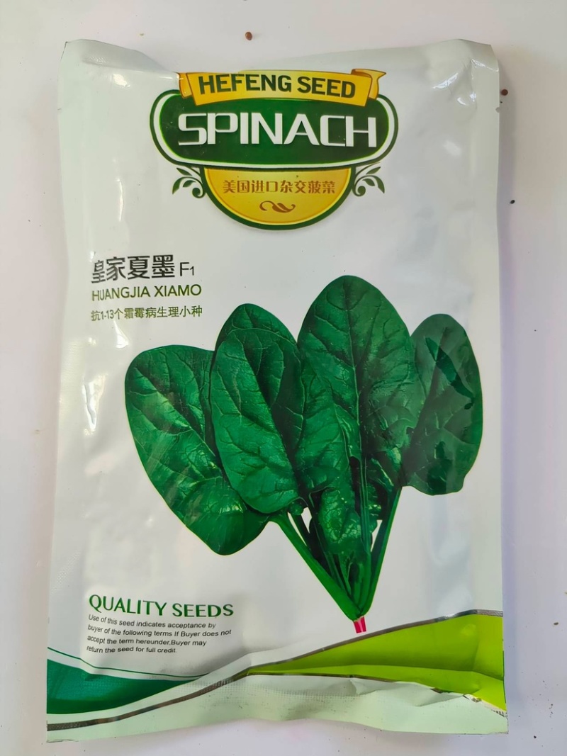 皇家夏墨-菠菜种子中早熟黑圆叶耐抽薹产量高耐热叶厚杂交