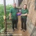 精装高钾水溶肥大量元素水溶肥高钾14钾6磷40钾