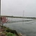 广东江门小龙虾产地直供应商超市场档口团购欢迎下单