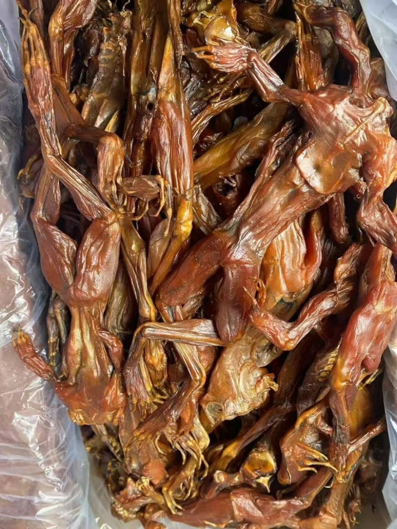 腊牛蛙