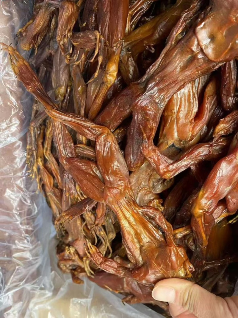腊牛蛙