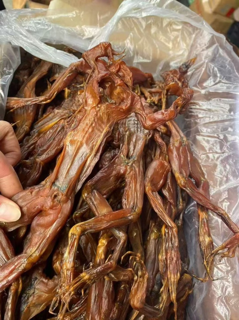 腊牛蛙