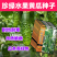 珍绿水果黄瓜种子强雌瓜条亮绿肉质脆嫩刺瘤明显