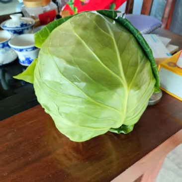 精品宝绿，1-3斤，大量有货，用的联系。价格便宜