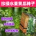 珍绿水果黄瓜种子强雌瓜条亮绿肉质脆嫩刺瘤明显