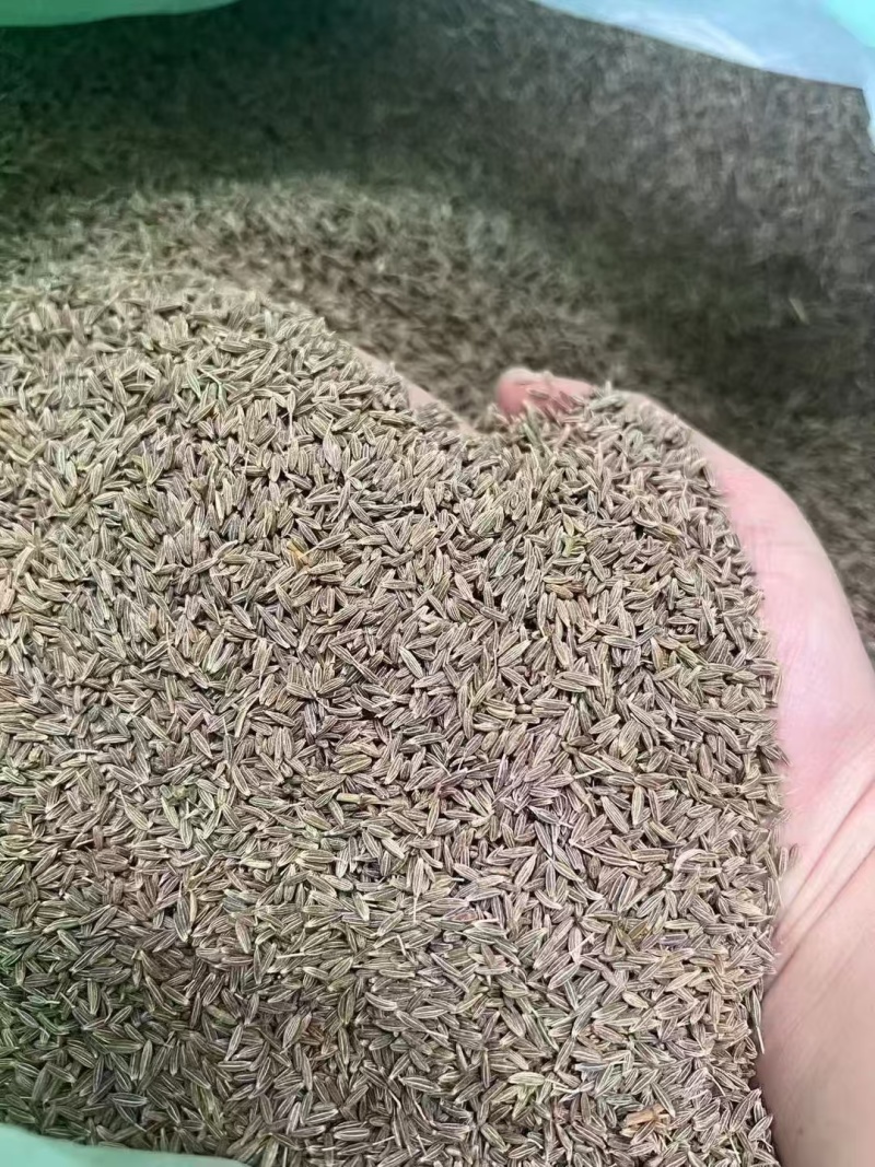 孜然孜然粒