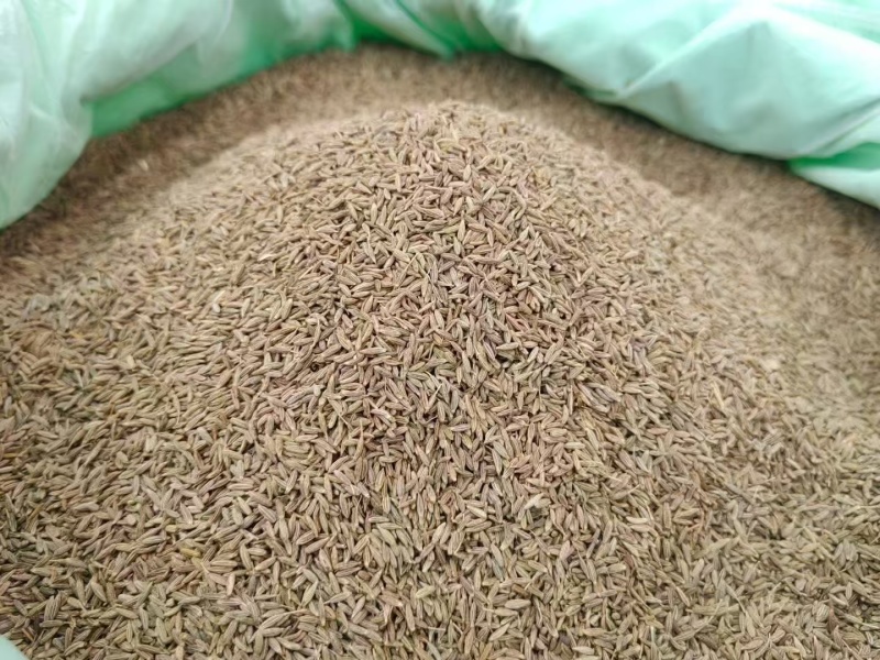 孜然孜然粒