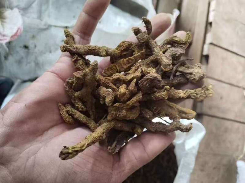 缅甸进口姜黄药材..有需要的详谈