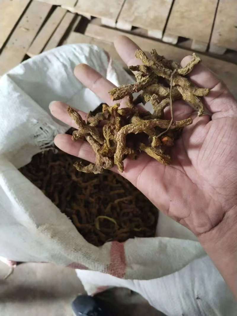 缅甸进口姜黄药材..有需要的详谈