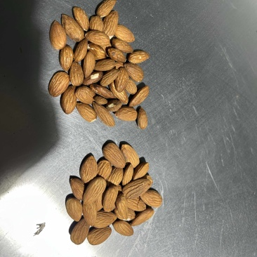 巴旦木仁，巴旦木碎，烘焙原料。