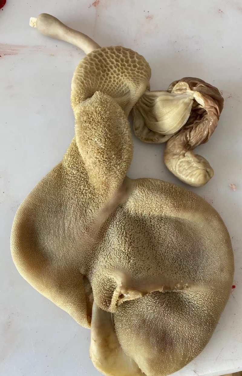 羊杂五香水煮全熟羊杂（羊头肉心肝肺羊肚）