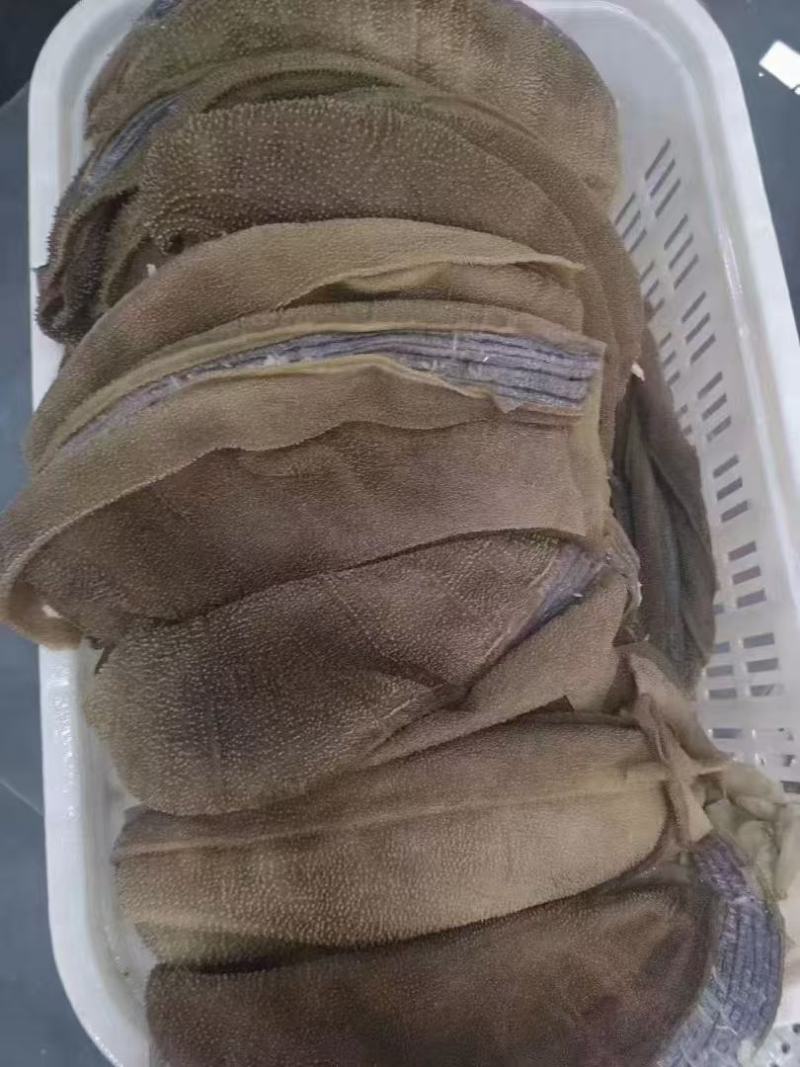 大叶片毛肚个子/大叶毛肚/厂家直发/常年供应/质量保证