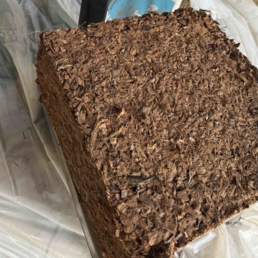 进口椰壳蓝莓基质印度椰壳