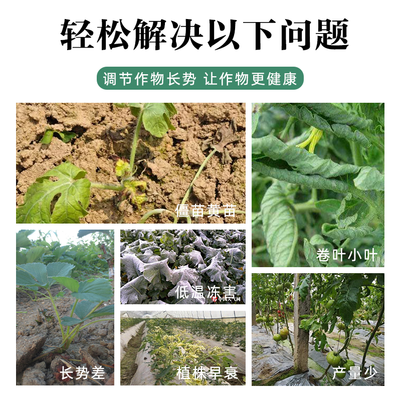 含氨基酸水溶肥预防作物缺素黄化防冻害营养全面包邮