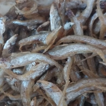 油炸毛刀鱼凤尾鱼