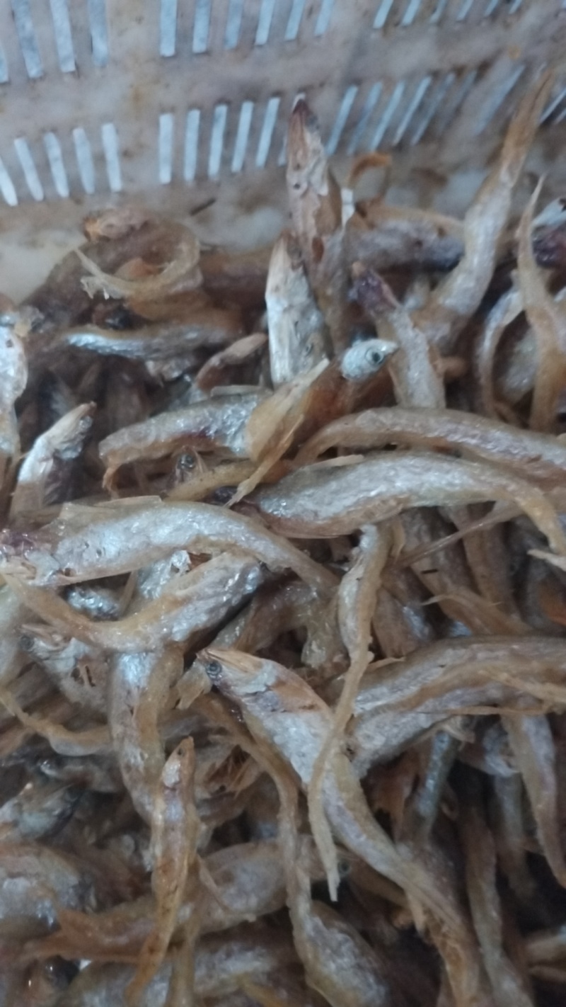 油炸毛刀鱼凤尾鱼